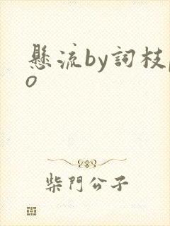 悬流by词枝po