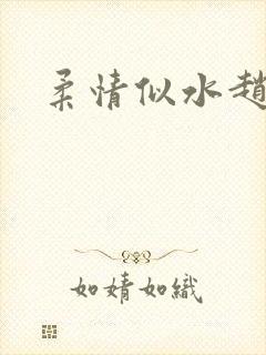 柔情似水赵雅儿封面