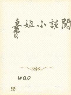 妻姐小说阅读免费封面