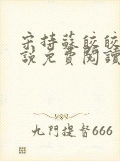 宋持苏皎皎的小说免费阅读