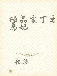 极品家丁之册母为妃封面