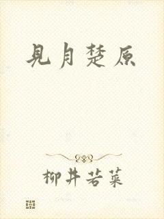 见月楚原