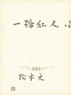 一号红人 小说