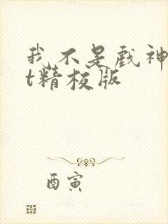 我不是戏神txt精校版