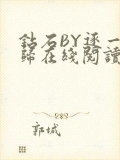 钻石BY逐一而归在线阅读封面