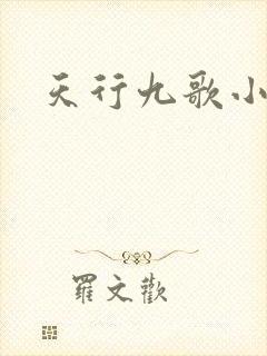 天行九歌小说
