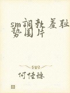 sm调教羞耻姿势图片封面