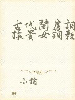 古代闺房调教h揉贵女调教记
