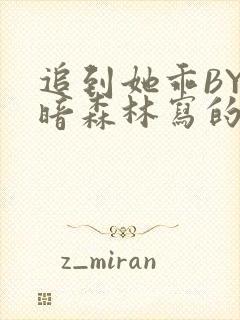 追到她乖BY黑暗森林写的小说