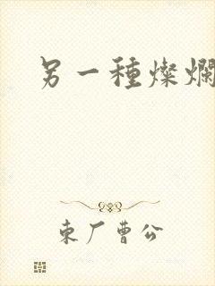 另一种灿烂生活