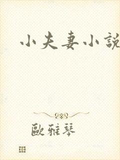小夫妻小说