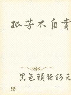 孤芳不自赏小说