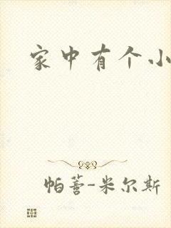 家中有个小姨子封面