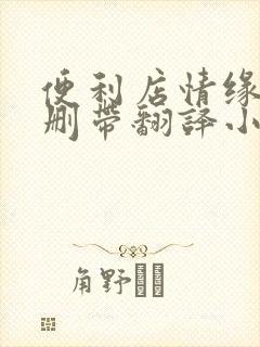 便利店情缘未增删带翻译小说封面