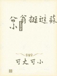 公翁挺进苏玥的小泬
