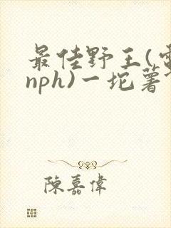 最佳野王(电竞nph)一坨薯饼封面