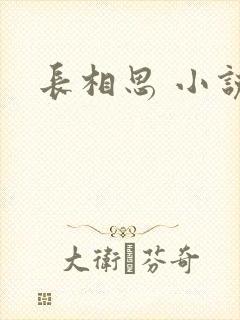 长相思 小说