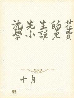 沈先生的花式教学小说免费