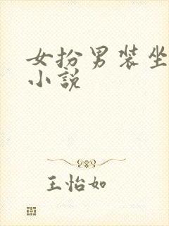 女扮男装坐江山小说