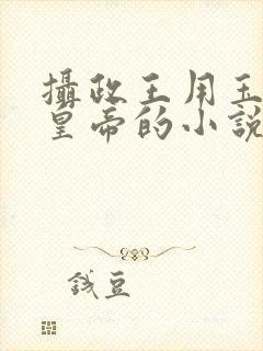 摄政王用玉髓整皇帝的小说