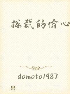 总裁的偷心娇妻