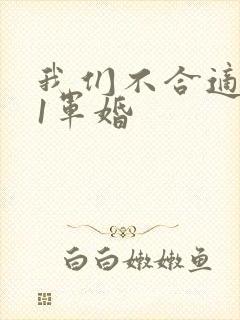 我们不合适1v1军婚