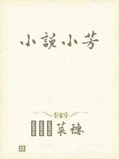 小说小芳封面