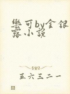 乐可by金银花露小说