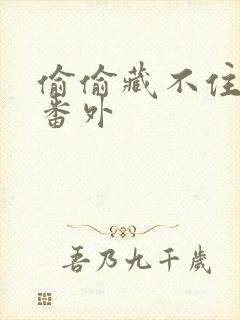 偷偷藏不住新婚番外