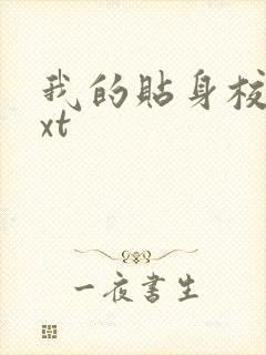 我的贴身校花txt封面