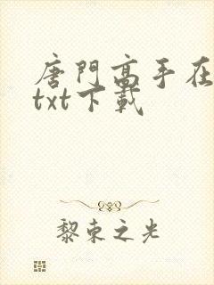 唐门高手在异世txt下载