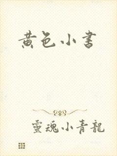 黄色小书