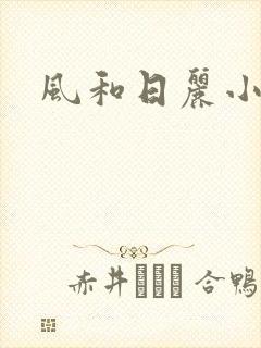 风和日丽小说