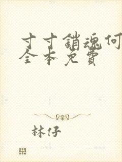 寸寸销魂何生祥全本免费