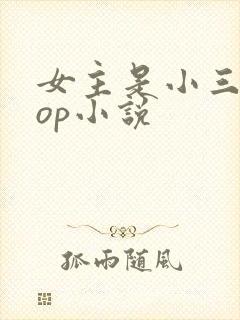 女主是小三的pop小说