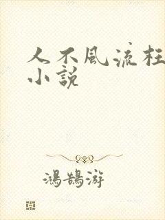 人不风流枉少年小说