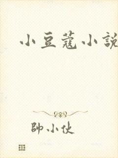 小豆蔻小说封面