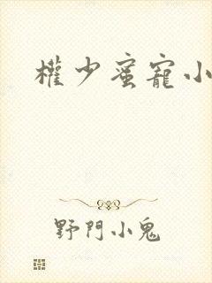 权少蜜宠小娇妻