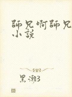 师兄啊师兄原著小说