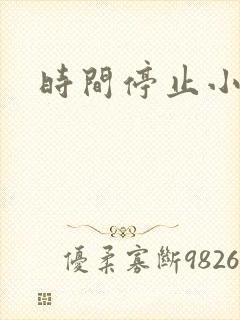 时间停止小说