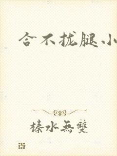 合不拢腿小说