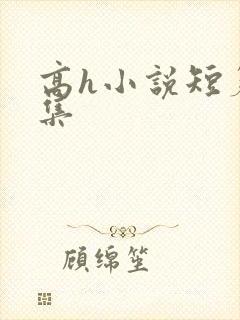 高h小说短篇合集封面