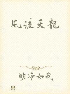 风流天龙