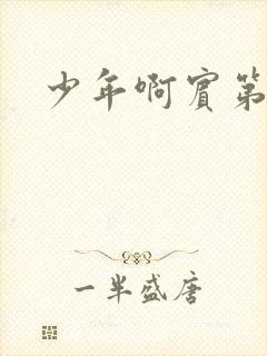 少年啊宾第二部