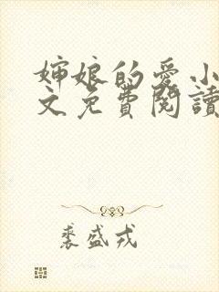 婶娘的爱小说全文免费阅读封面