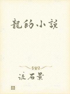 龙的小说