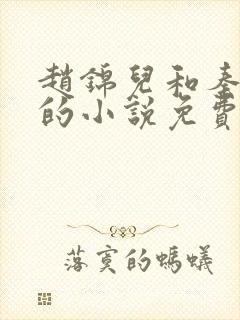 赵锦儿和秦慕修的小说免费阅读全文