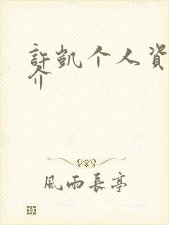 许凯个人资料简介