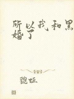 所以我和黑粉结婚了