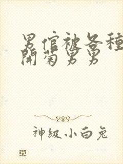 男倌被各种玉势开菊男男封面